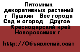 Питомник декоративных растений г. Пушкин - Все города Сад и огород » Другое   . Краснодарский край,Новороссийск г.